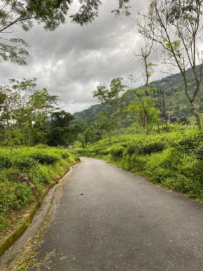 Manvi Homestay